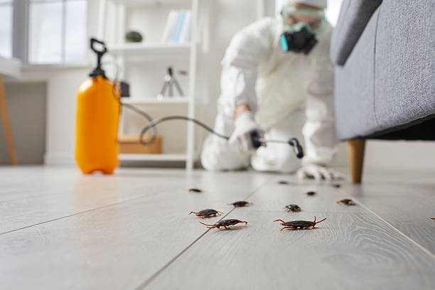 Post-Treatment Bed Bug Interceptor Monitoring in Barton Creek