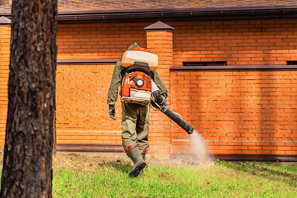 Bed Bug Clearance Verification and Documentation in Barton Creek